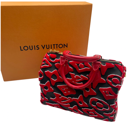 Limited Edition Louis Vuitton Speedy 25